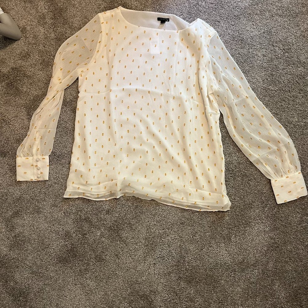 Ann Taylor Blouse